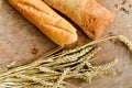 Ciabatta and baguette bread Royalty Free Stock Photo