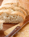 Ciabatta bread Royalty Free Stock Photo