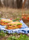 Ciabatta bread sandwich lifestyle picnic meal with bacon Royalty Free Stock Photo