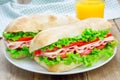 Ciabatta bread sandwiches with ham and cheese on the white plate Royalty Free Stock Photo