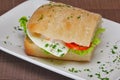 Ciabatta panini sandwich with chicken and tomato. Sandwich stuffed with sausage, egg and tomato Royalty Free Stock Photo