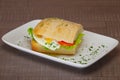 Ciabatta panini sandwich with chicken and tomato. Sandwich stuffed with sausage, egg and tomato Royalty Free Stock Photo