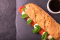 Ciabatta sandwich with caprese salad with coffee. Royalty Free Stock Photo