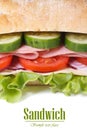 Ciabatta sandwich with ham and vegetables vertical Royalty Free Stock Photo