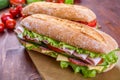 Ciabatta Sandwiches with Various Meats Royalty Free Stock Photo