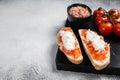 Ciabatta toasts with stracciatella cheese, chopped tomatoes and basil. White background. Top view. Copy space Royalty Free Stock Photo