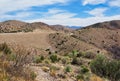 Cibola National Forest near Socorro, New Mexico