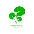 Cica vector illustration. Gotu kola icon logo template. Centella Asiatica ecological concept. Green leaf for organic Royalty Free Stock Photo