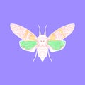 Cicada butterfly sketch, orange green white contour purple lilac on background. simple art. Can be used for Card banner template