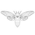 Cicada. Cicadidae. Sketch of cicada. cicada Royalty Free Stock Photo