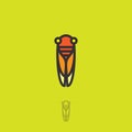 Cicada flat logo. Cicada icon. Linear logo. Yellow-orange small cicada on a green-yellow background.