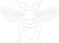 cicada Outline Silhouette Generative Ai Royalty Free Stock Photo