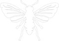 cicada Outline Silhouette Generative Ai Royalty Free Stock Photo