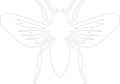 cicada Outline Silhouette Generative Ai Royalty Free Stock Photo