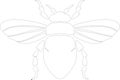 cicada Outline Silhouette Generative Ai Royalty Free Stock Photo