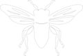 cicada Outline Silhouette Generative Ai Royalty Free Stock Photo