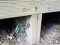 Cicada on wood beam under deck with dirt Royalty Free Stock Photo