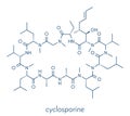 Ciclosporin cyclosporine immunosuppressant drug molecule. Used to prevent rejection of transplanted organs and for a number of.