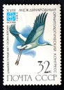 Ciconia boyciana. Birds on post stamp isolated on blac Royalty Free Stock Photo