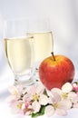 Cider and apple - still-life Royalty Free Stock Photo