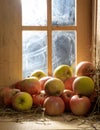 Cider apples Royalty Free Stock Photo