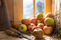 Cider apples in a barn Royalty Free Stock Photo
