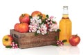 Cider, Apples and Flower Blossom Royalty Free Stock Photo