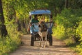 Cidomo horse cart with driver and no tourists