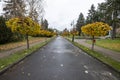 Ciechocinek, kujawsko-pomorskie / Poland - November, 17, 2020: A park in an autumn scenery in a small town. A place of relaxation