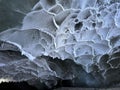 Cieling of ice cave in Alaska Royalty Free Stock Photo