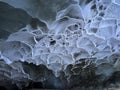 Cieling of ice cave in Alaska Royalty Free Stock Photo