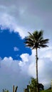 Cielo Azul Royalty Free Stock Photo