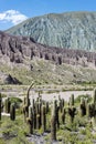 Cienaga, Quebrada de Humahuaca, Jujuy, Argentina.