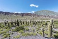 Cienaga, Quebrada de Humahuaca, Jujuy, Argentina.