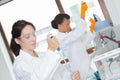 Cience team working in laboratory Royalty Free Stock Photo