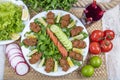 Cig kofte / Turkish Traditional Food. Traditional Turkish Raw Meat Royalty Free Stock Photo