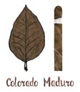 Cigar Colorado maduro wrapper leaf color type
