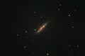 Cigar Galaxy Messier 82 Royalty Free Stock Photo