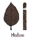 Cigar maduro wrapper leaf color type