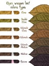 Cigar wrapper leaf colors types: Claro, Double Claro, Colorado Claro, Colorado, Colorado Maduro, Maduro and Oscuro Royalty Free Stock Photo