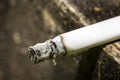Cigarette burning Royalty Free Stock Photo