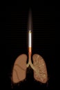 Cigarette burning Lungs Royalty Free Stock Photo