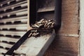 Cigarette buts in a wall mounted ash tray on the wall of a building Royalty Free Stock Photo