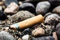 A Cigarette Butt on the Beach Royalty Free Stock Photo