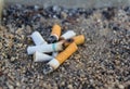 Cigarette butts in an ashtray Royalty Free Stock Photo