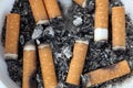 Cigarette butts close-up Royalty Free Stock Photo