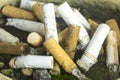 Cigarette butts Royalty Free Stock Photo