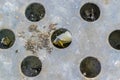 Cigarette butts in rubbish bin, top view. Royalty Free Stock Photo