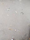 cigarette butts scattered on the asphalt and messy Royalty Free Stock Photo