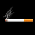 Cigarette isolated on background. Vector illustrations in realistic style